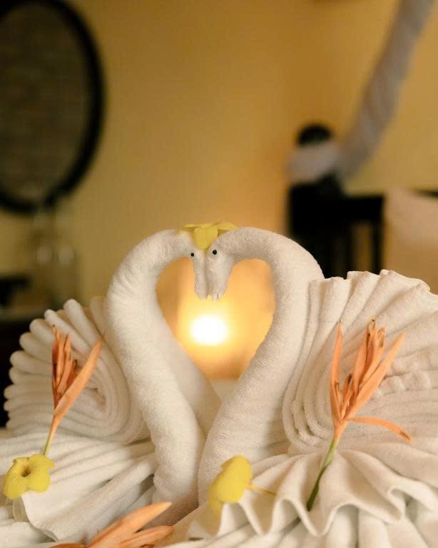 z6972362488947_6aec50c4edeeaee976758630fdfbf894-min