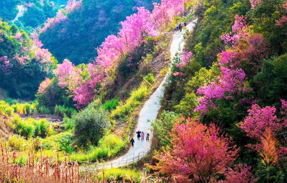 10 Địa Điểm Du Lịch Việt Nam Được Quốc Tế Gọi Là "Những Viên Ngọc Ẩn Giấu”