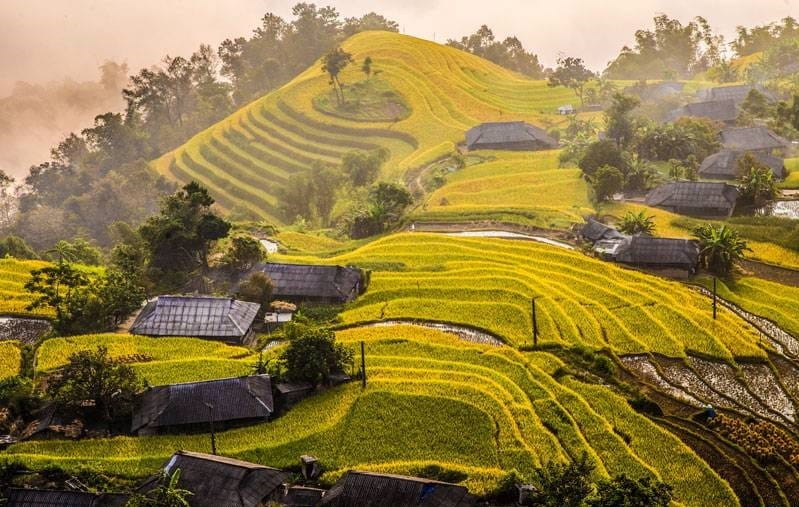 5 Mùa Đẹp Nhất Việt Nam Chỉ Xuất Hiện Vài Tuần Mỗi Năm