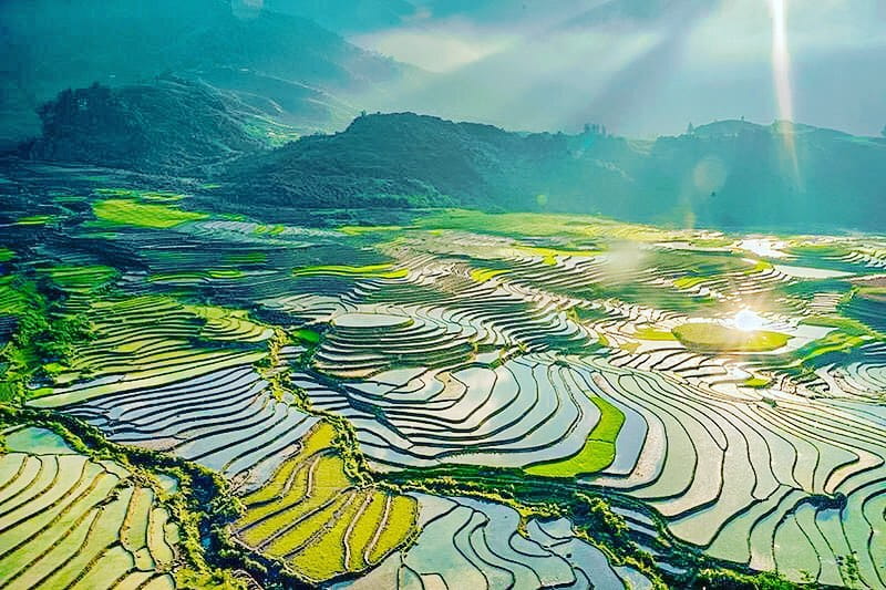5 Mùa Đẹp Nhất Việt Nam Chỉ Xuất Hiện Vài Tuần Mỗi Năm