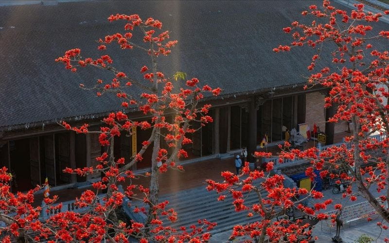Du Lịch Theo Mùa Hoa: 12 Tháng - 12 Điểm Đến Đẹp Nhất Việt Nam