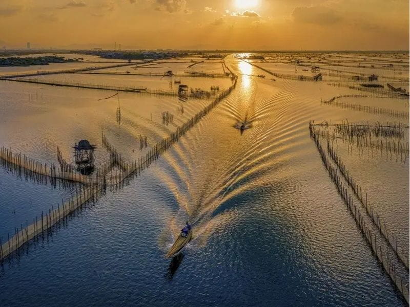Phá Tam Giang Huế - Vẻ Đẹp Hoang Sơ Của Hệ Đầm Phá Lớn Nhất Đông Nam Á