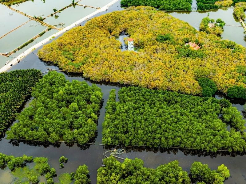 Phá Tam Giang Huế - Vẻ Đẹp Hoang Sơ Của Hệ Đầm Phá Lớn Nhất Đông Nam Á