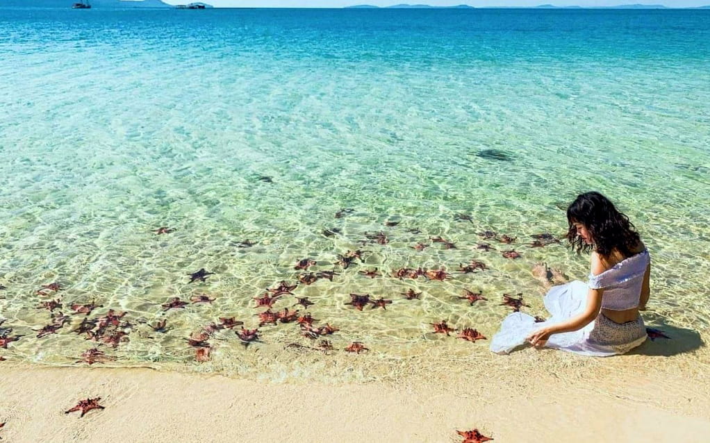 Cẩm Nang Du Lịch Cô Tô Tự Túc Từ A-Z: Kinh Nghiệm Ăn, Chơi, Đi Lại