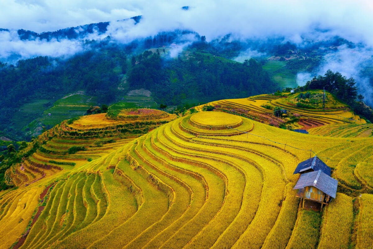 Tây Bắc Vào Mùa Đẹp Nhất: Những Cung Đường Mùa Vàng Và Biển Mây Đáng Trải Nghiệm