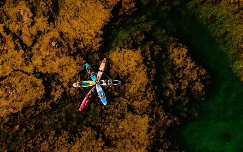 Hòn Khô & Làng Chài Nhơn Hải: Nốt Trầm Mộc Mạc Giữa Biển Xanh Xứ Nẫu