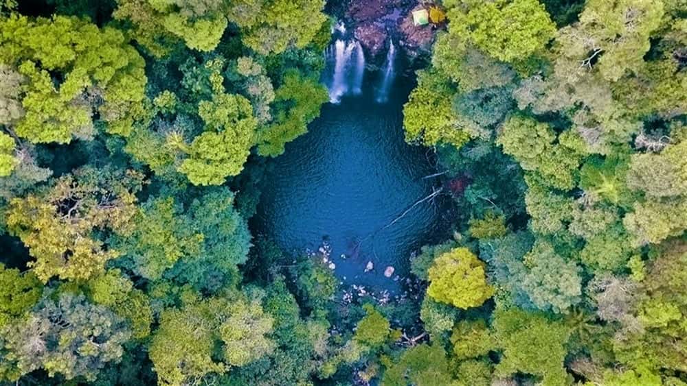 Du Lịch Gia Lai: Từ Đại Ngàn Xanh Đến Biển Trời Miền Trung