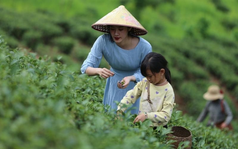 Du Lịch Canh Nông: Đi Để Trải Nghiệm