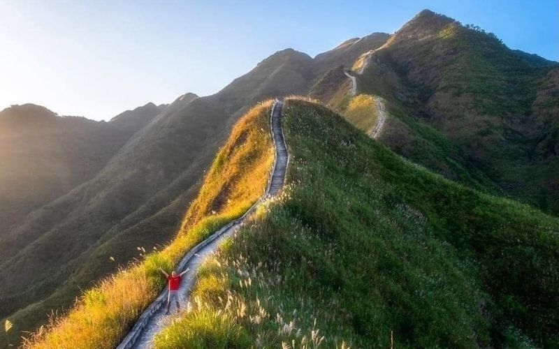 Bình Liêu Tháng 11: Mùa Cỏ Lau Trắng Giữa Miền Biên Viễn