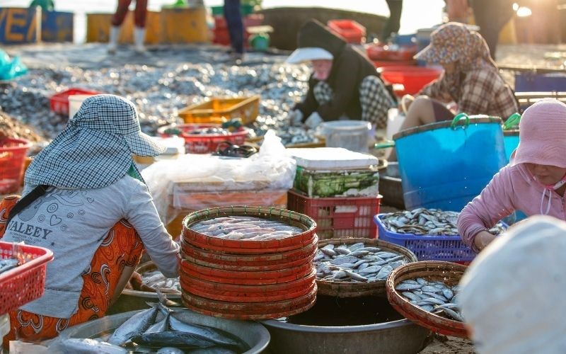 Bến Thuyền Thúng Xã Xuân Lộc - Vẻ Đẹp Làng Chài Dưới Chân Đèo Cù Mông