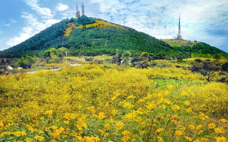 Chinh Phục Núi Lửa Chư Hơ Rông Gia Lai: Khám Phá Vẻ Đẹp Hoang Sơ Giữa Đại Ngàn