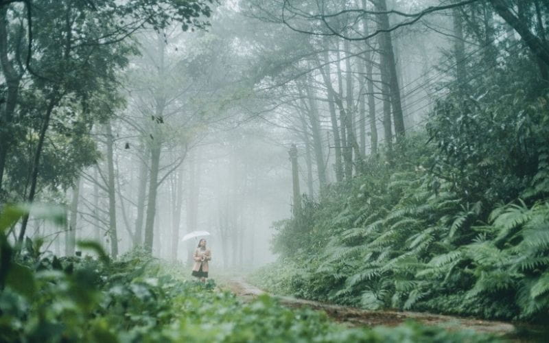Chinh Phục Núi Lửa Chư Hơ Rông Gia Lai: Khám Phá Vẻ Đẹp Hoang Sơ Giữa Đại Ngàn