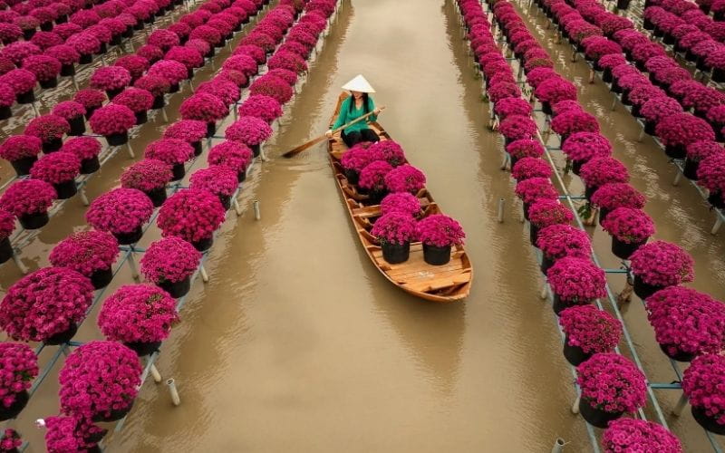 10 Điểm Đến Ở Việt Nam Dành Cho Những Chuyến Du Lịch Trải Nghiệm Đáng Nhớ