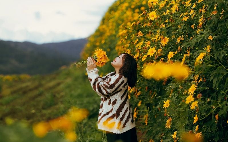 Đà Lạt Phiên Bản Hướng Nội: Tìm Những Góc Bình Yên Giữa Rừng Thông